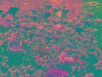 IMGP2853 edited (Medium)